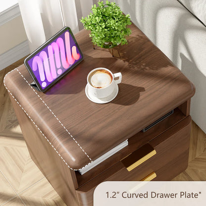 Cota Wooden Nightstand 2 Drawer Bedside Table Storage Modern Dark Walnut