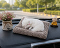 Sleeping Musically Cute Cat-Small