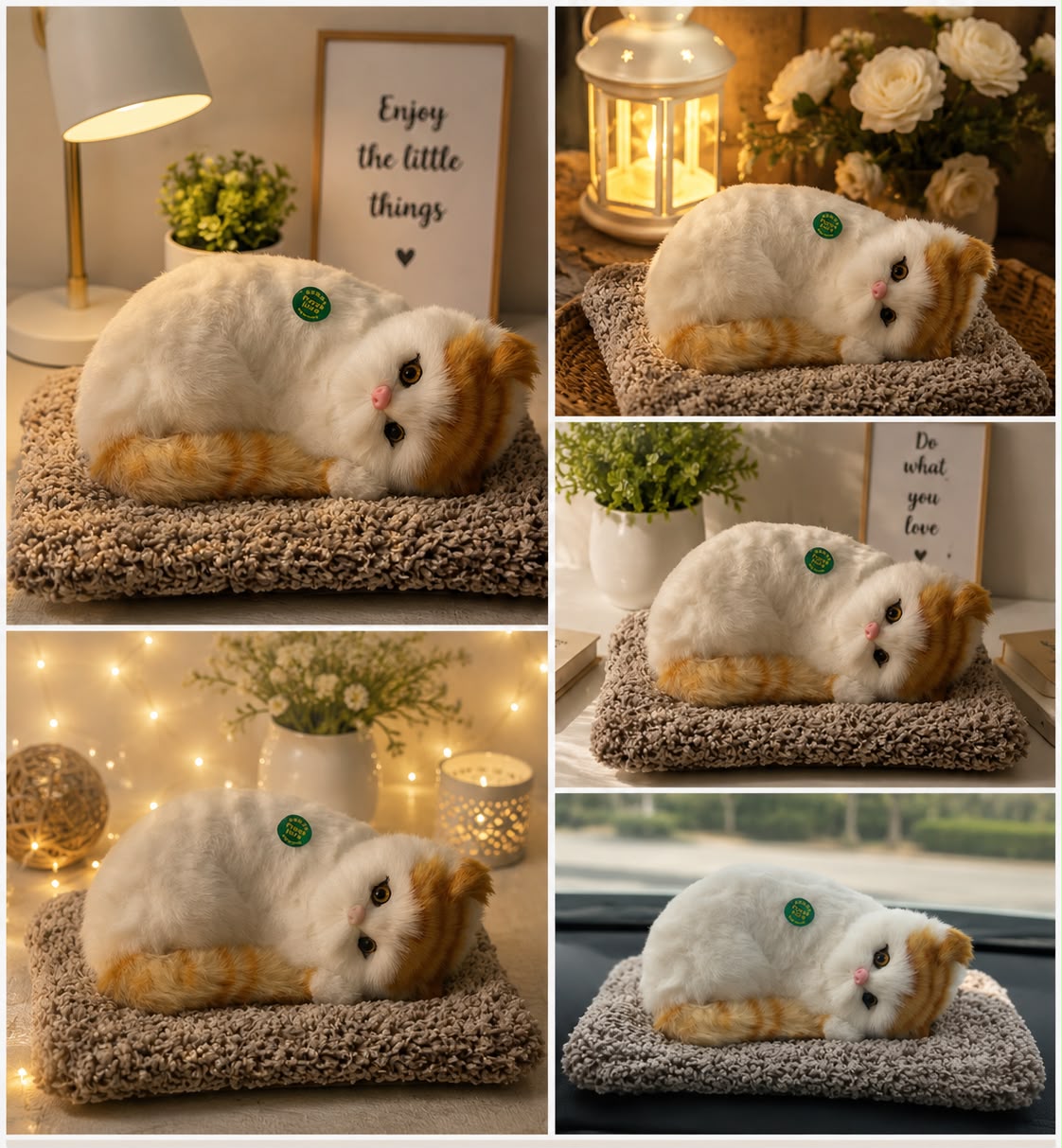 Sleeping Musically Cute Cat-Big