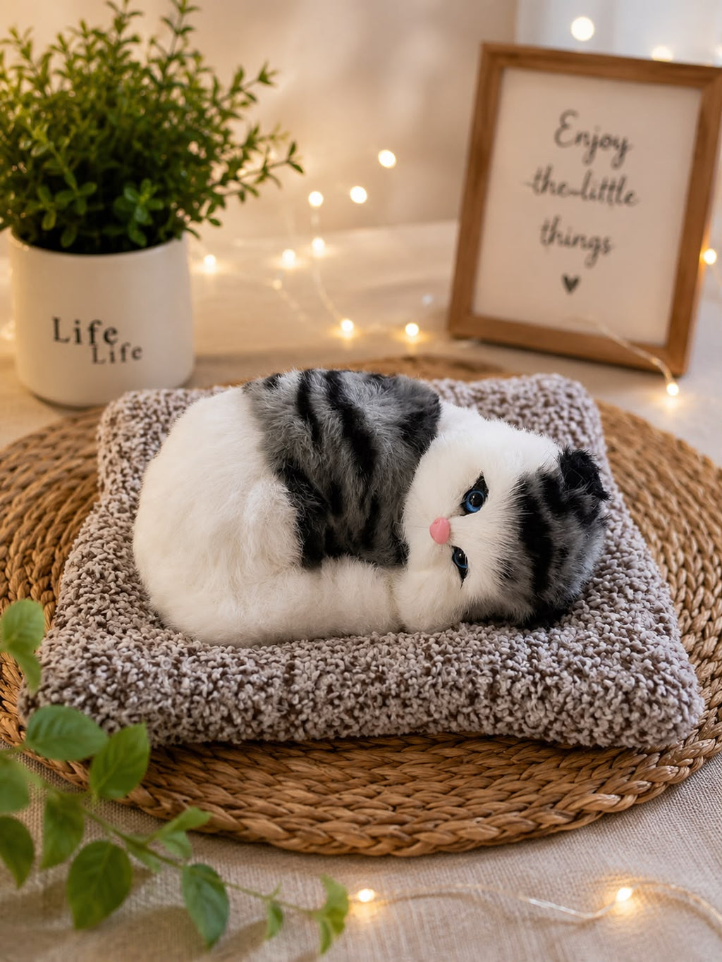 Sleeping Musically Cute Cat-Big