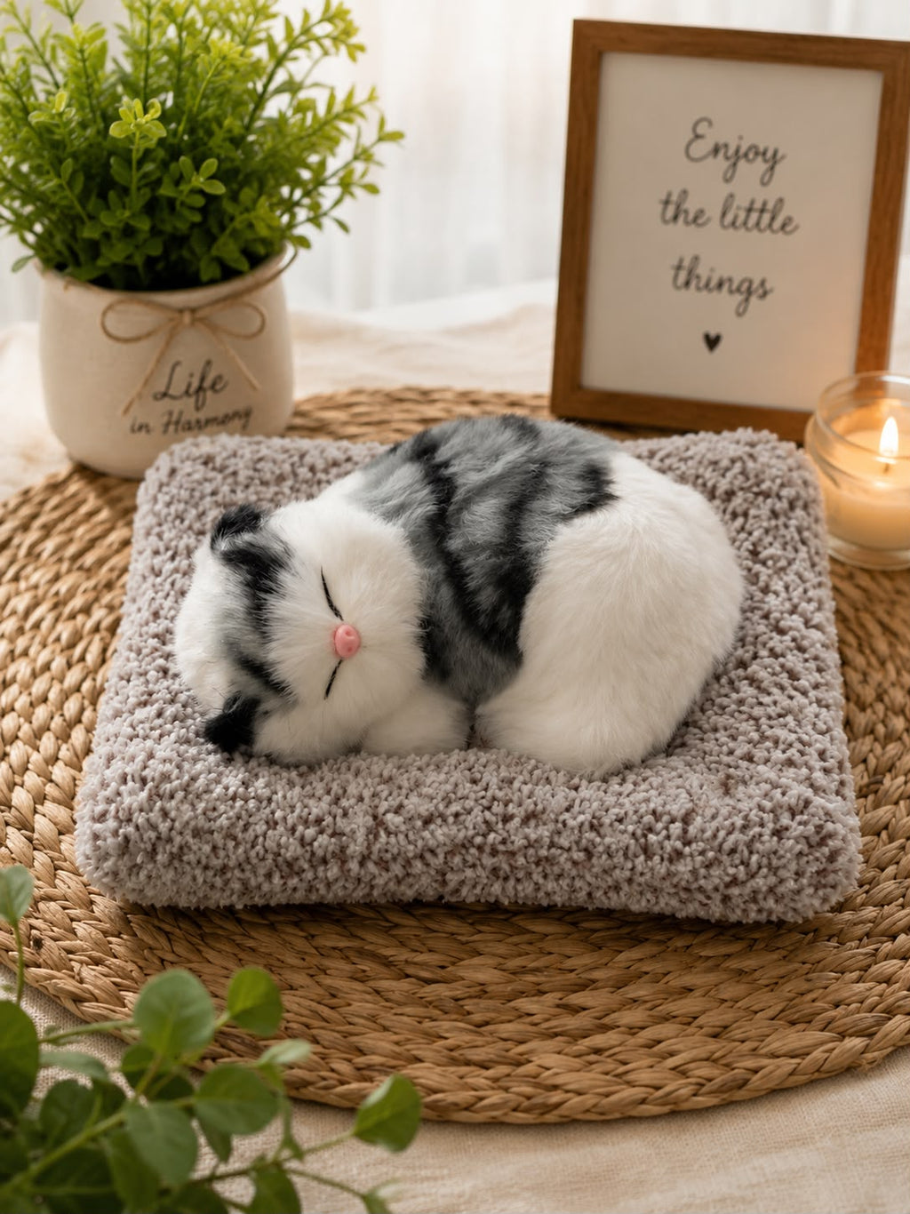 Sleeping Musically Cute Cat-Small