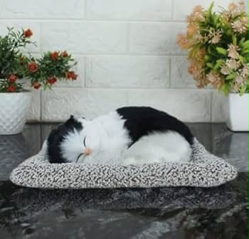 Sleeping Musically Cute Cat-Small