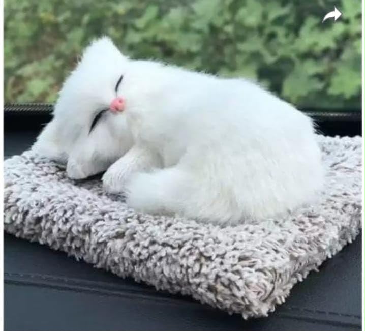 Sleeping Musically Cute Cat-Small