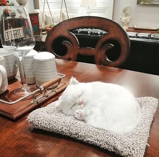 Sleeping Musically Cute Cat-Small