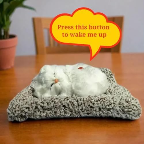 Sleeping Musically Cute Cat-Small