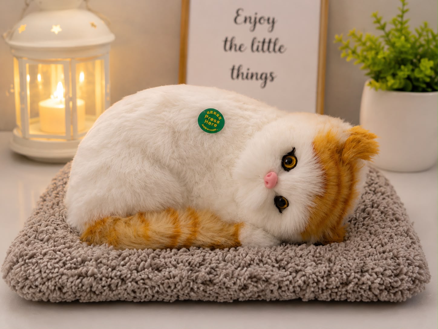 Sleeping Musically Cute Cat-Big